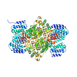 BU of 3a9c by Molmil