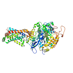 BU of 3abv by Molmil