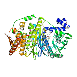 AU of 3ac6 by Molmil