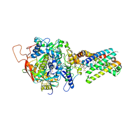 BU of 3ae1 by Molmil