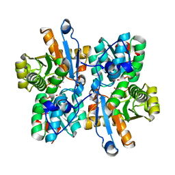 BU of 3aex by Molmil