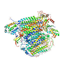 BU of 3ag2 by Molmil