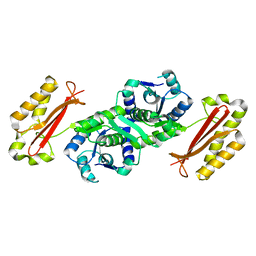 BU of 3ag5 by Molmil