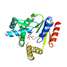 AU of 3ake by Molmil