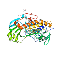 AU of 3alh by Molmil