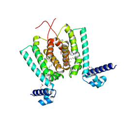 BU of 3anp by Molmil