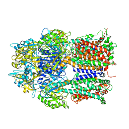 BU of 3aoc by Molmil