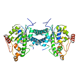 BU of 3ap1 by Molmil