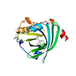 BU of 3apv by Molmil