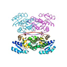 BU of 3asv by Molmil