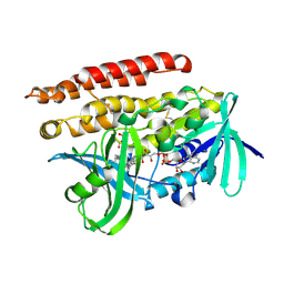 BU of 3atr by Molmil