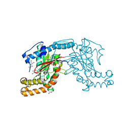 BU of 3avp by Molmil