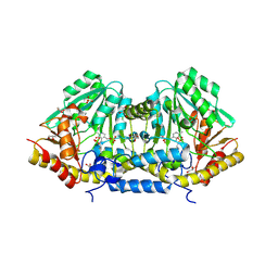 BU of 3b1c by Molmil