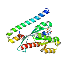 BU of 3bc1 by Molmil