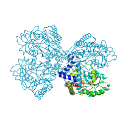 BU of 3bc8 by Molmil