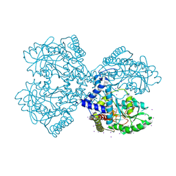 BU of 3bca by Molmil