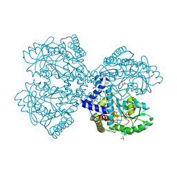 BU of 3bcb by Molmil