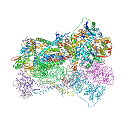 BU of 3bcc by Molmil