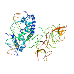 BU of 3bdn by Molmil