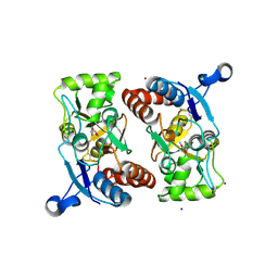 BU of 3bft by Molmil