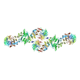 BU of 3bg1 by Molmil