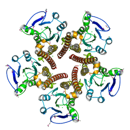 AU of 3bhc by Molmil