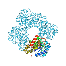 AU of 3bi8 by Molmil