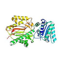 BU of 3bip by Molmil