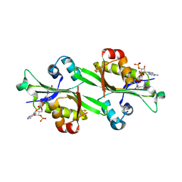 BU of 3bj8 by Molmil