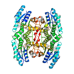 AU of 3bmj by Molmil