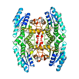 AU of 3bmk by Molmil