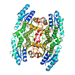 AU of 3bmm by Molmil