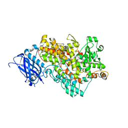 BU of 3bnc by Molmil