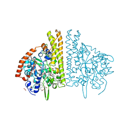 BU of 3bnf by Molmil