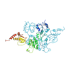 BU of 3boa by Molmil