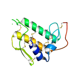 BU of 3bp2 by Molmil