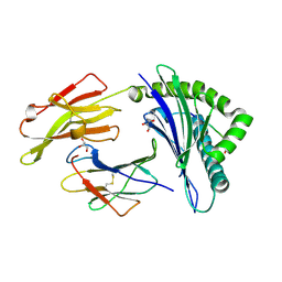 BU of 3bp4 by Molmil