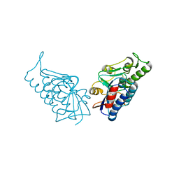 BU of 3bpp by Molmil