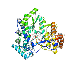 BU of 3bsa by Molmil