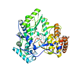 BU of 3bsc by Molmil