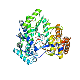 BU of 3bsc by Molmil