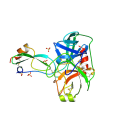 BU of 3btg by Molmil