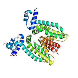 BU of 3btl by Molmil