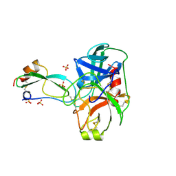 BU of 3btt by Molmil