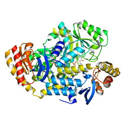 BU of 3bv0 by Molmil