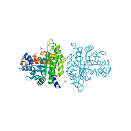 BU of 3bv4 by Molmil