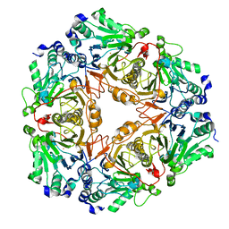 BU of 3bv6 by Molmil