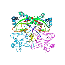 BU of 3bvc by Molmil