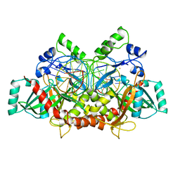 AU of 3bvr by Molmil