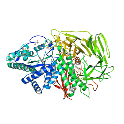 BU of 3bvt by Molmil